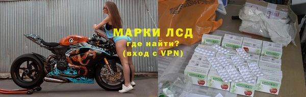 хмурый Алзамай