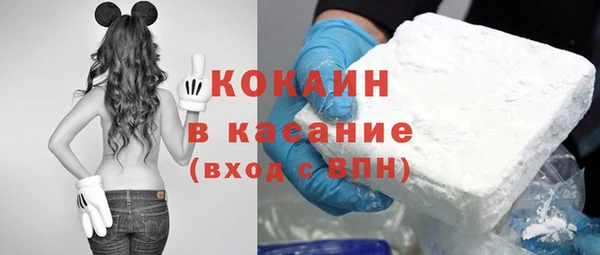хмурый Алзамай