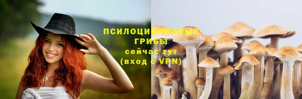 спиды Алексин