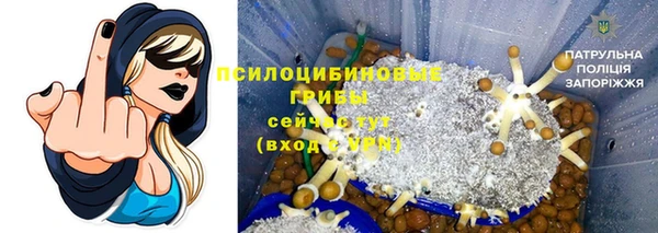 спиды Алексин