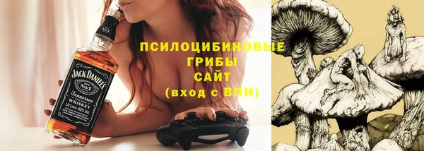 хмурый Алзамай