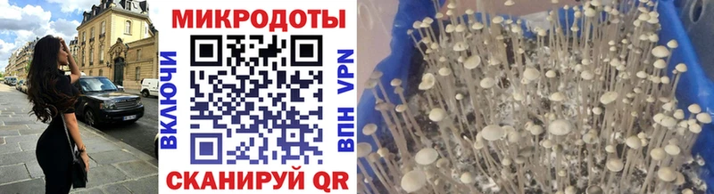 Галлюциногенные грибы GOLDEN TEACHER  Цимлянск 